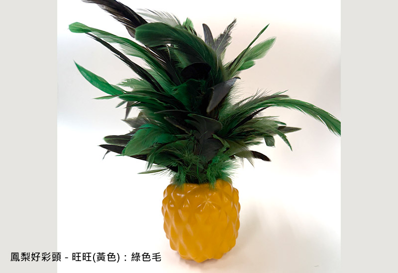 鳳梨好彩頭 - 旺旺(黃色)_綠色毛