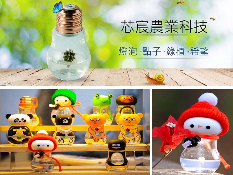 關於芯宸