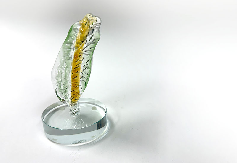 台灣-金 玻璃擺飾